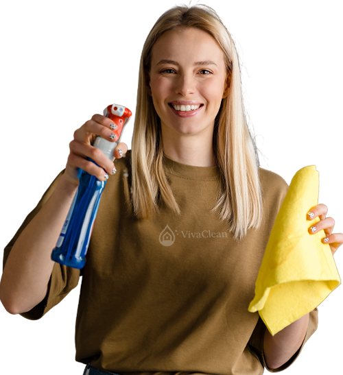 Cleaning professional